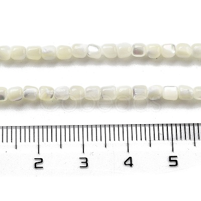 Natural Trochid Shell/Trochus Shell Beads Strands BSHE-G038-01-1