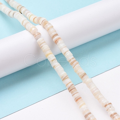 Natural Freshwater Shell Beads Strands X-SHEL-G011-09-A02-1