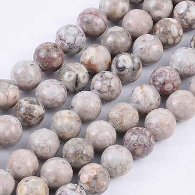 Natural Maifanite/Maifan Stone Beads Strands G-F353-8mm-1