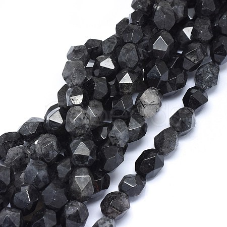 Natural Black Rutilated Quartz Beads Strands G-O173-076A-1