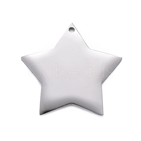 304 Stainless Steel Pendants STAS-F254-07A-P-1