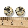 Natural Dalmatian Jasper Beads G-Q173-03A-24-3