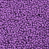 11/0 Grade A Baking Paint Glass Seed Beads X-SEED-N001-A-1052-2