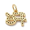 Brass Micro Pave Clear Cubic Zirconia Charms ZIRC-A013-24G-2
