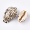 Cowrie Shell Beads X-SSHEL-S258-59A-2