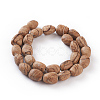 (Holiday Stock-Up Sale)Natural Picture Jasper Beads Strands G-O181-04-2
