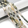 Natural Jade Beads Strands G-E612-C15-01-2