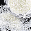 FGB Transparent Glass Seed Beads SEED-S019-05A-1