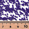 11/0 Grade A Baking Paint Glass Seed Beads X-SEED-N001-A-1010-3