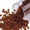 TOHO Round Seed Beads SEED-JPTR08-2154-1