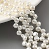 Natural Cultured Freshwater Pearl Beads Strands PEAR-A006-20-2