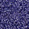 MIYUKI Round Rocailles Beads X-SEED-G009-RR0649-4