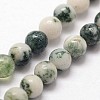 Natural Tree Agate Beads Strands G-N0192-01-2mm-3