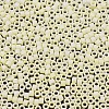 MIYUKI Delica Beads X-SEED-J020-DB1521-3