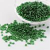 8/0 Glass Seed Beads X-SEED-A005-3mm-27B-1