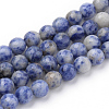 Natural Blue Spot Jasper Beads Strands G-Q462-99-4mm-1