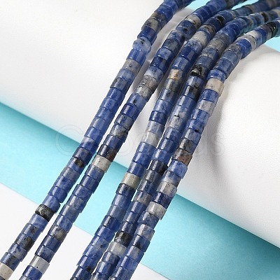 Natural Sodalite Beads Strands G-E612-A12-1