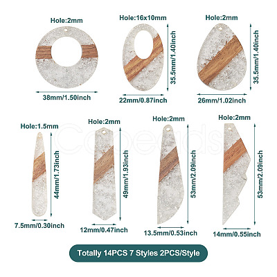 Biyun 14Pcs 7 Styles Transparent Resin & Walnut Wood Pendants RESI-BY0001-06-1