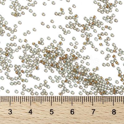 MIYUKI Round Rocailles Beads X-SEED-G009-RR0351-1