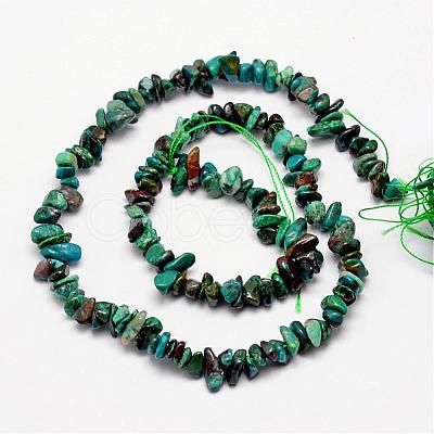 Natural Chrysocolla Bead Strands G-L459-40-1