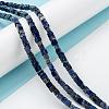Natural Lapis Lazuli Beads Strands G-F631-K05-4