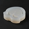 DIY Peach Shape Quicksand Silicone Molds X-DIY-E048-02-5