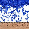 Baking Paint Glass Seed Beads SEED-S042-05B-77-4