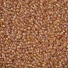 12/0 Grade A Round Glass Seed Beads SEED-Q010-F531-2
