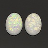 Oval Resin Imitated Opal Cabochons CRES-L008-12-1