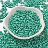 Baking Paint Glass Seed Beads SEED-K009-01A-10-2