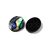 Natural Paua Shell Epoxy Resin Cabochons SSHEL-S279-01G-2