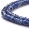 Natural Blue Spot Jasper Beads Strands G-H230-25-2
