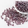 Round Glass Seed Beads X-SEED-A006-4mm-116-1