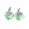 Faceted Transparent Glass Charms GLAA-T024-04G-2