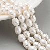 Natural Cultured Freshwater Pearl Beads Strands PEAR-P062-10H-2