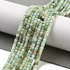 Natural Chrysoprase Beads Strands G-G140-C07-02-2