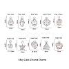 Alloy Cubic Zirconia Charms ZIRC-CJ0001-02P-2