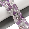 Natural Amethyst Beads Strands G-B078-D12-01-2