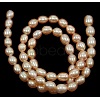 Grade A Natural Cultured Freshwater Pearl Beads Strands X-A23WE011-1