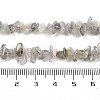 Natural Labradorite Beads Strands G-G0003-B43-5