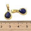 Natural Lapis Lazuli Faceted Teardrop Charms STAS-P361-01G-01-3