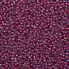 TOHO Round Seed Beads X-SEED-TR08-0304-2