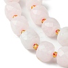 Natural Rose Quartz Beads Strands G-Q010-A10-01-2