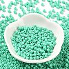 Baking Paint Glass Seed Beads SEED-H002-I-A509-2