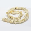 Natural Shell Beads Strands G-F328-45-2