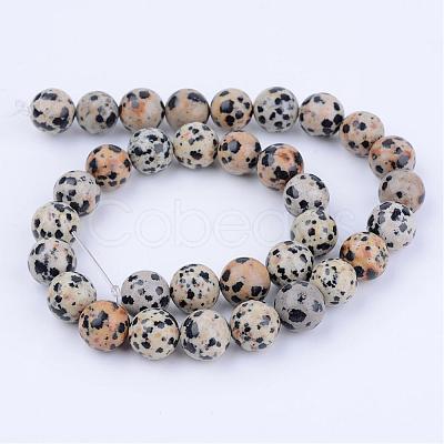 Natural Dalmatian Jasper Beads Strands G-Q462-4mm-30-1