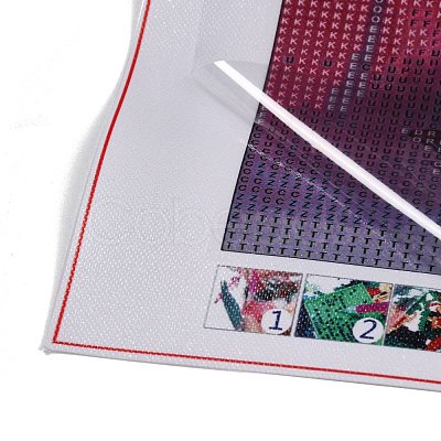 DIY 5D Diamond Painting Kits DIY-P060-09-1