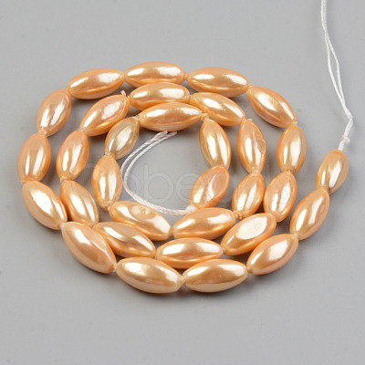 Electroplate Natural Freshwater Shell Beads Strands SHEL-T017-13B-1