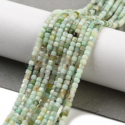 Natural Chrysoprase Beads Strands G-G140-C07-02-1