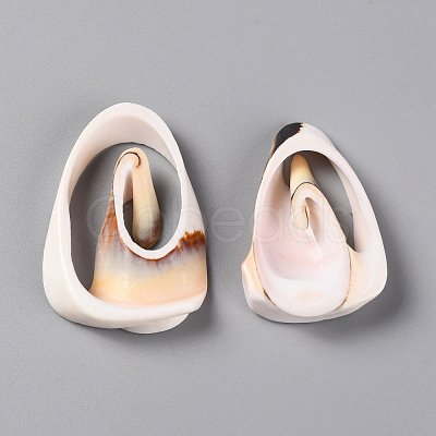 Natural Freshwater Shell Beads SHEL-C001-14-1